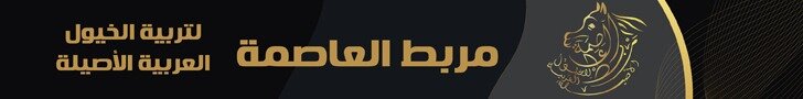 ٤