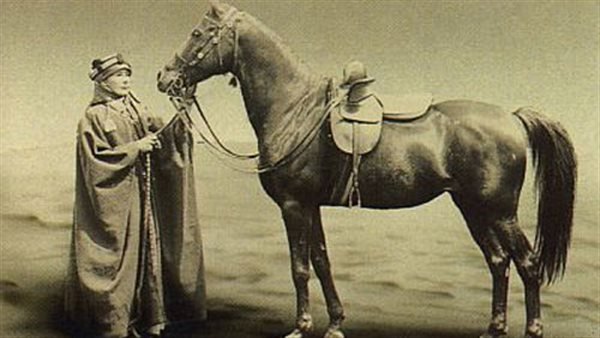 Two Girls Sex With Horse Mp3 - Who is Lady Anne Blunt, the most famous person whose name is associated  with the purebred Arabian horse? - Ù…ÙˆÙ‚Ø¹ Ø§Ù„Ø®ÙŠÙ„ Ø¯ÙˆØª ÙƒÙˆÙ…