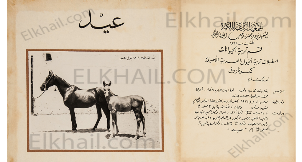 عيد